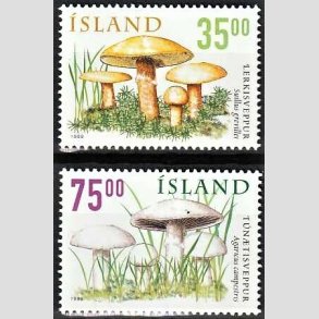 FRIMRKER ISLAND | 1999 - AFA 900,901 - Vilde svampe I - 35,00 + 75,00 kr. flerfarvet - Postfrisk