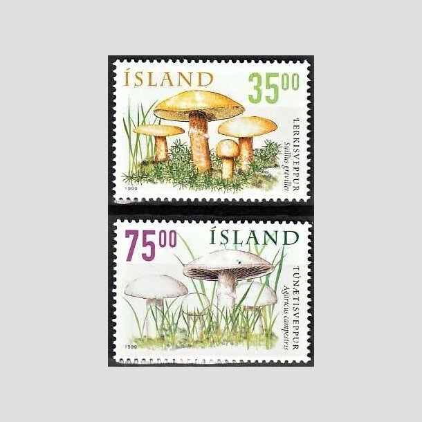 FRIMRKER ISLAND | 1999 - AFA 900,901 - Vilde svampe I - 35,00 + 75,00 kr. flerfarvet - Postfrisk