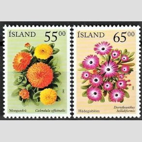 FRIMRKER ISLAND | 2001 - AFA 960,961 - Sommerblomster II - 55,00 + 65,00 kr. flerfarvet - Postfrisk