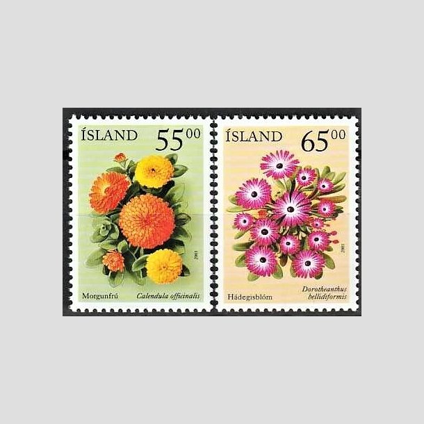 FRIMRKER ISLAND | 2001 - AFA 960,961 - Sommerblomster II - 55,00 + 65,00 kr. flerfarvet - Postfrisk