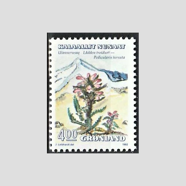 FRIMRKER GRNLAND | 1992 - AFA 224 - Blomster III. - 4,00 kr. flerfarvet - Postfrisk