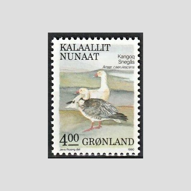 FRIMRKER GRNLAND | 1990 - AFA 199 - Fugle IV. - 4,00 kr. flerfarvet - Postfrisk