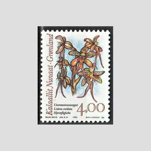 FRIMRKER GRNLAND | 1995 - AFA 258 - Arktiske orkideer I. - 4,00 kr. flerfarvet - Postfrisk