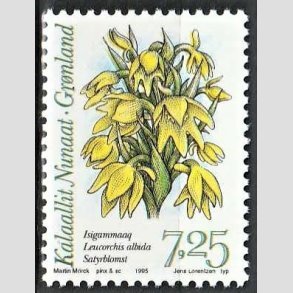 FRIM�RKER GR�NLAND | 1995 - AFA 259 - Arktiske orkideer I. - 7,25 kr. flerfarvet - Postfrisk