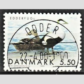 FRIM�RKER DANMARK | 1999 - AFA 1224 - Danske tr�kfugle - 5,50 Kr. Edderfugl - Pragt Stemplet Odder