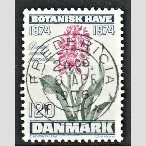 FRIM�RKER DANMARK | 1974 - AFA 578 - Botanisk Have 100 �r. - 120 �re bl�gr�n/violet/gr�n - Pragt Stemplet Fredericia