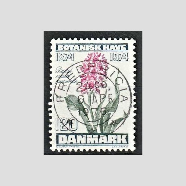 FRIMRKER DANMARK | 1974 - AFA 578 - Botanisk Have 100 r. - 120 re blgrn/violet/grn - Pragt Stemplet Fredericia