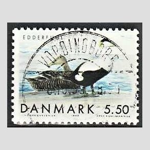 FRIM�RKER DANMARK | 1999 - AFA 1224 - Danske tr�kfugle - 5,50 Kr. Edderfugl - Pragt Stemplet