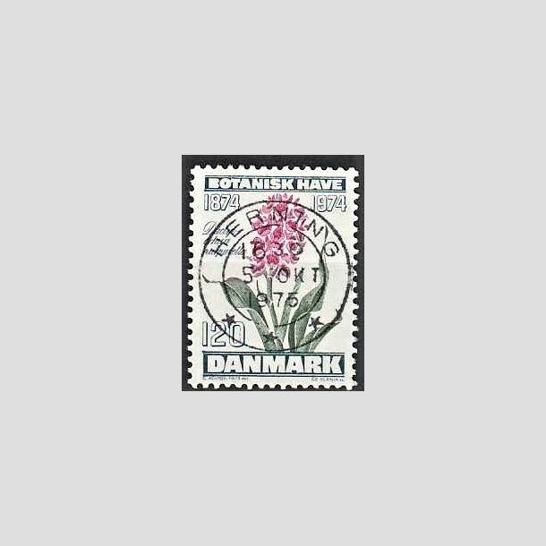 FRIMRKER DANMARK | 1974 - AFA 578 - Botanisk Have 100 r. - 120 re blgrn/violet/grn - Pragt Stemplet Herning