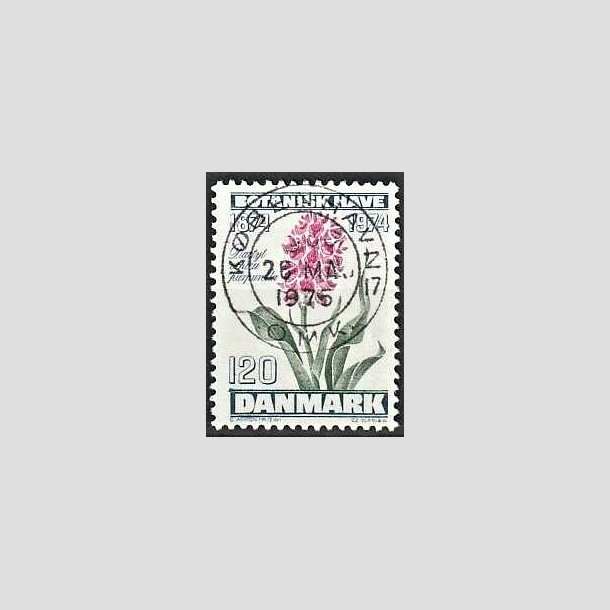 FRIMRKER DANMARK | 1974 - AFA 578 - Botanisk Have 100 r. - 120 re blgrn/violet/grn - Pragt Stemplet 