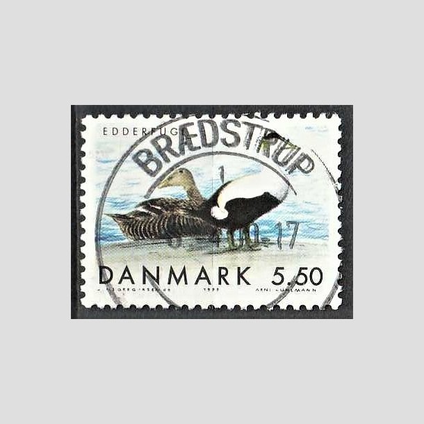 FRIMRKER DANMARK | 1999 - AFA 1224 - Danske trkfugle - 5,50 Kr. Edderfugl - Pragt Stemplet Brdstrup