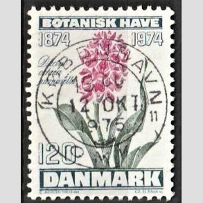 FRIM�RKER DANMARK | 1974 - AFA 578 - Botanisk Have 100 �r. - 120 �re bl�gr�n/violet/gr�n - Pragt Stemplet