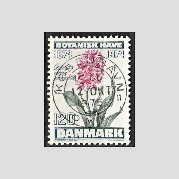 FRIMRKER DANMARK | 1974 - AFA 578 - Botanisk Have 100 r. - 120 re blgrn/violet/grn - Pragt Stemplet