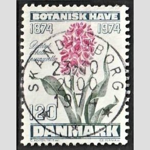FRIM�RKER DANMARK | 1974 - AFA 578 - Botanisk Have 100 �r. - 120 �re bl�gr�n/violet/gr�n - Pragt Stemplet