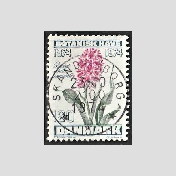 FRIMRKER DANMARK | 1974 - AFA 578 - Botanisk Have 100 r. - 120 re blgrn/violet/grn - Pragt Stemplet
