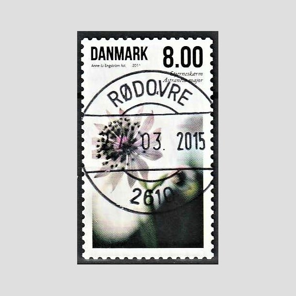 FRIMRKER DANMARK | 2011 - AFA 1665 - Sommerens blomster - 8,00 Kr. flerfarvet - Pragt Stemplet