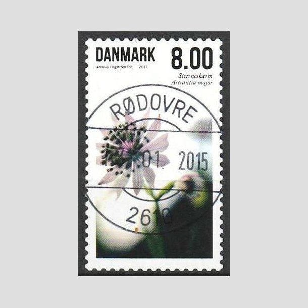 FRIMRKER DANMARK | 2011 - AFA 1665 - Sommerens blomster - 8,00 Kr. flerfarvet - Pragt Stemplet