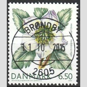 FRIM�RKER DANMARK | 2008 - AFA 1557 - Vinterb�r - 6,50 Kr. hvid julerose - Pragt Stemplet