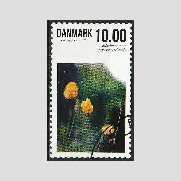 FRIMRKER DANMARK | 2011 - AFA 1666 - Sommerens blomster - 10,00 Kr. flerfarvet - Pnt stemplet