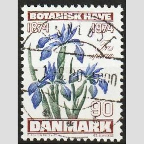 FRIMRKER DANMARK | 1974 - AFA 577 - Botanisk Have 100 r. - 90 re brun/bl/grn - Pragt Stemplet Vanlse