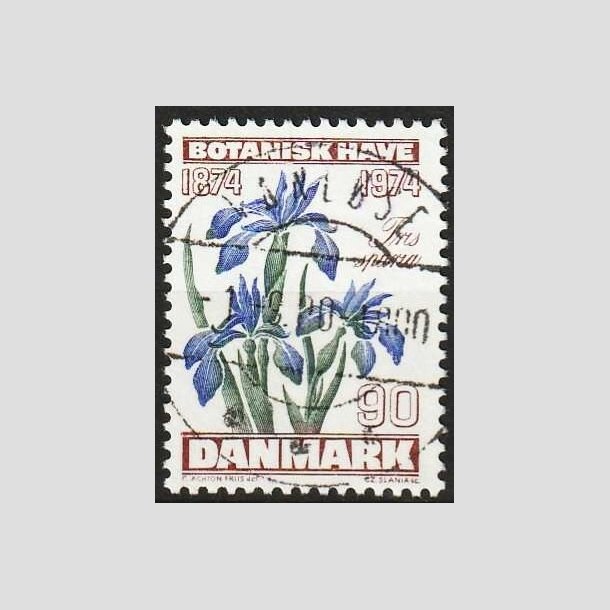 FRIMRKER DANMARK | 1974 - AFA 577 - Botanisk Have 100 r. - 90 re brun/bl/grn - Pragt Stemplet Vanlse