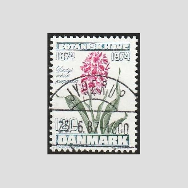 FRIMRKER DANMARK | 1974 - AFA 578 - Botanisk Have 100 r. - 120 re blgrn/violet/grn - Pragt Stemplet Jyderup