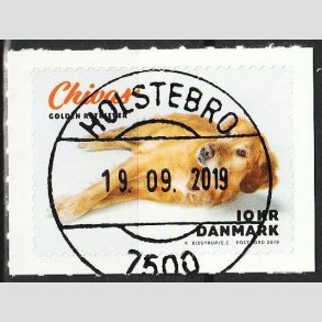 FRIM�RKER DANMARK | 2019 - AFA 1974 - Min hund. - 10,00 kr. flerfarvet - Pragt Stemplet 