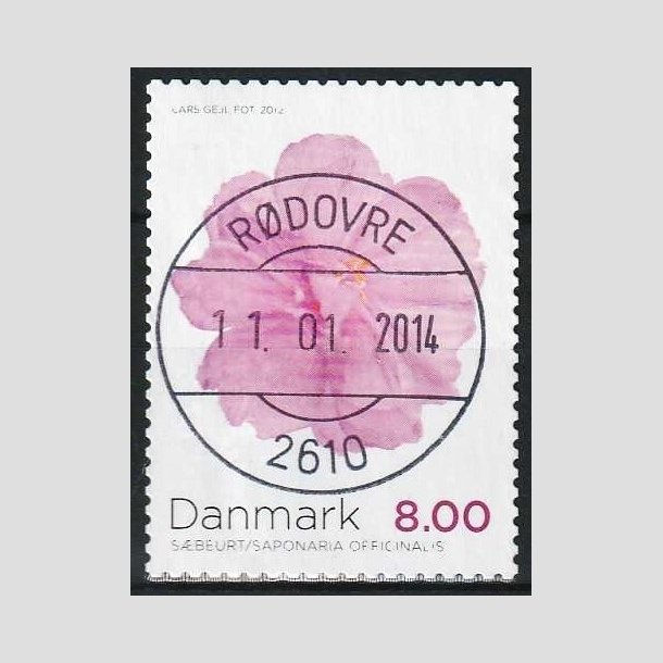 FRIMRKER DANMARK | 2012 - AFA 1715 - Efterrsblomster - 8,00 Kr. flerfarvet - Pragt Stemplet