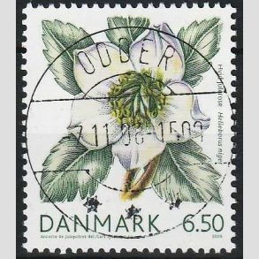 FRIMRKER DANMARK | 2008 - AFA 1557 - Vinterbr - 6,50 Kr. hvid julerose - Pragt Stemplet Odder