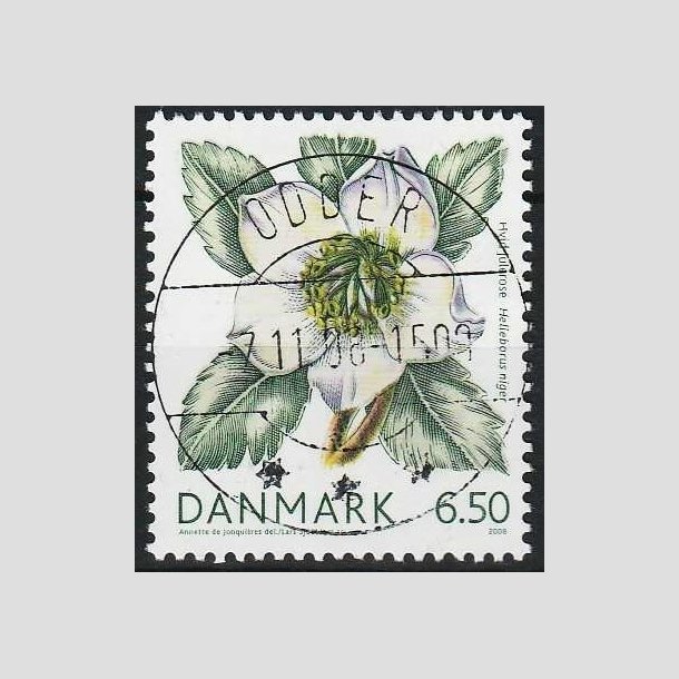 FRIMRKER DANMARK | 2008 - AFA 1557 - Vinterbr - 6,50 Kr. hvid julerose - Pragt Stemplet Odder