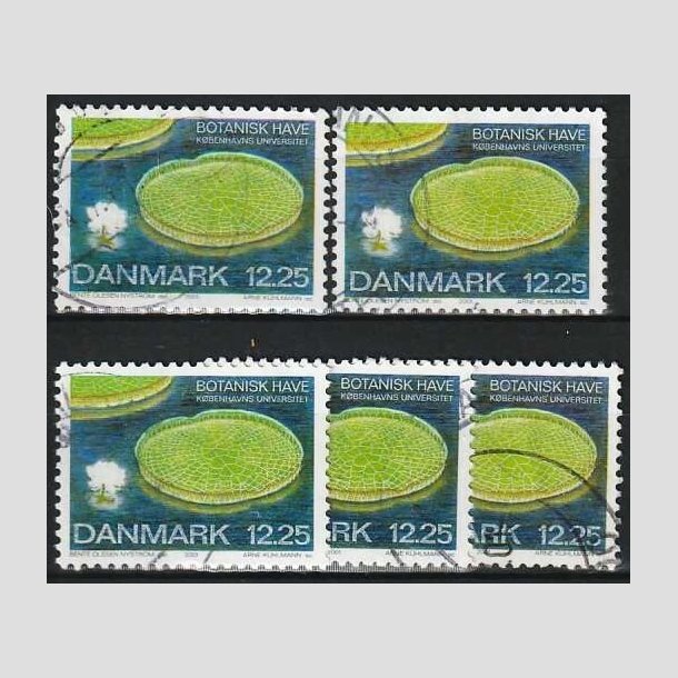 FRIMRKER DANMARK | 2001 - AFA 1274 - Botanisk have. - 12,25 Kr. Kmpekande x 5 stk. - Pnt Stemplet