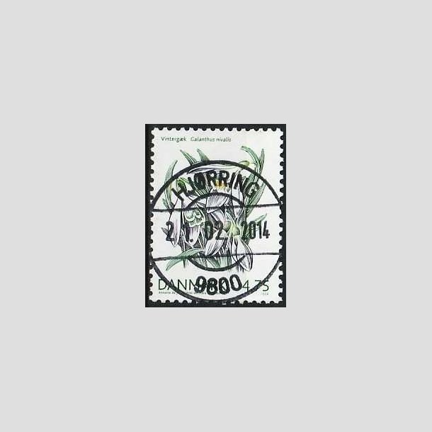 FRIMRKER DANMARK | 2006 - AFA 1455 - Forrsblomster - 4,75 Kr. Vintergk - Pragt Stemplet Hjrring