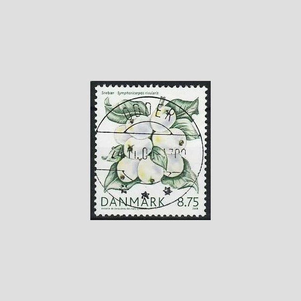 FRIMRKER DANMARK | 2008 - AFA 1559 - Vinterbr - 8,75 Kr. snebr - Lux Stemplet Odder