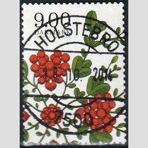 FRIMRKER DANMARK | 2014 - AFA 1797 - Vinter-poesi - 9,00 Kr. tyttebr - Pragt Stemplet Holstebro