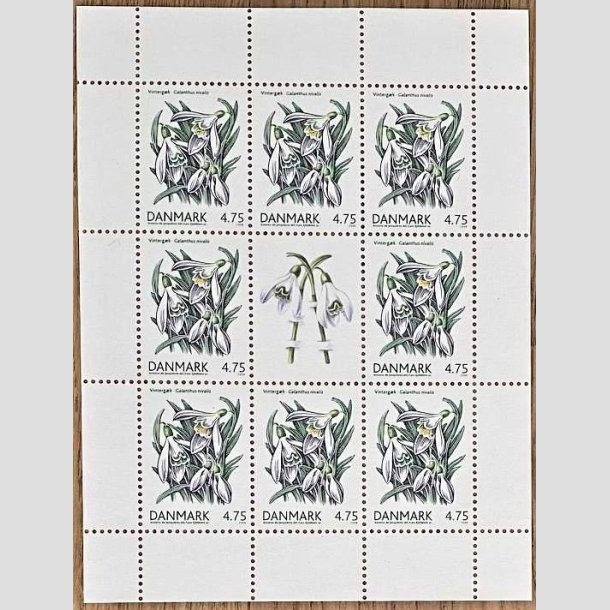 FRIMRKER DANMARK | 2006 - AFA 1455 (SMARK NR. 25) - Forrsblomster - 4,75 kr. flerfarvet x 8 samt vignet - Postfrisk