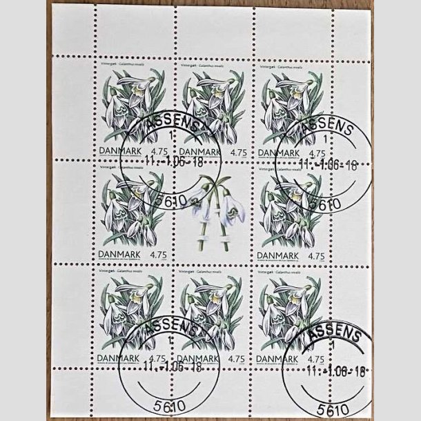 FRIMRKER DANMARK | 2006 - AFA 1455 (SMARK NR. 25) - Forrsblomster - 4,75 kr. flerfarvet x 8 samt vignet - Pragt stemplet Assens