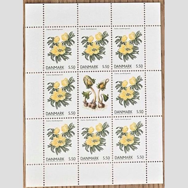 FRIMRKER DANMARK | 2006 - AFA 1456 (SMARK NR. 26) - Forrsblomster - 5,50 kr. flerfarvet x 8 samt vignet - Postfrisk